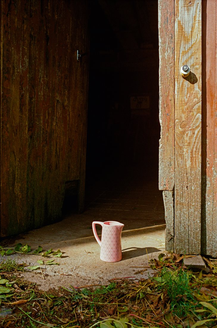 Ardèche, plateau, porte d'étable partie gauche ouverte, intérieur obscur, par terre sur le pas pot en terre rose, herbe verte, scène orangée très lumineuse